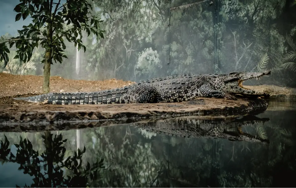 Odisha Nature Trail