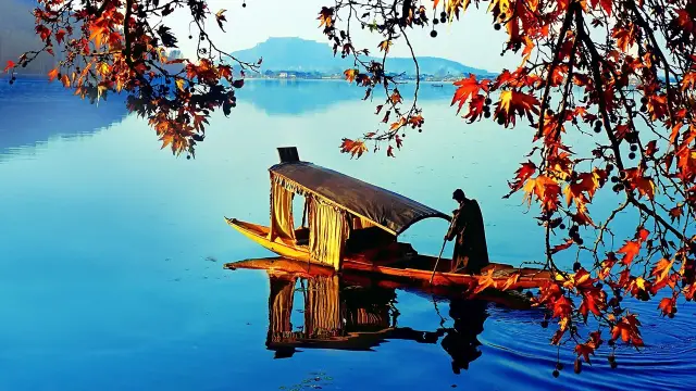 Jammu & Kashmir