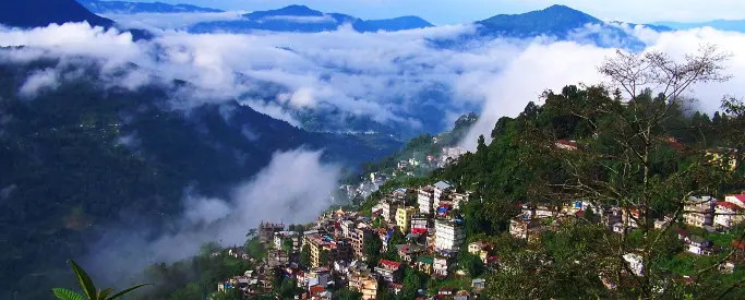 North Bengal Nature Tour