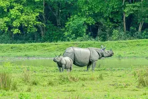 Assam