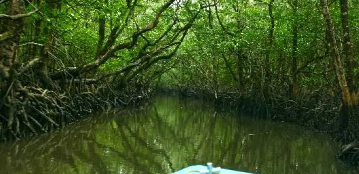 Andaman Honeymoon Tour