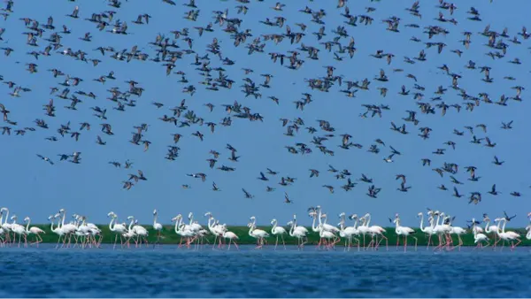 Spiritual Odisha Tour