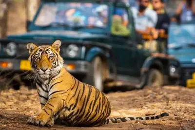 Nainital Jim Corbett Mussoorie