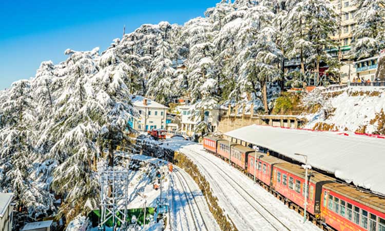 Shimla & Manali Tour