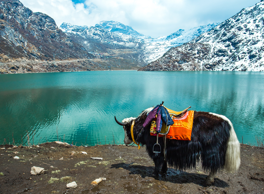 Gangtok Tsomgo Tour