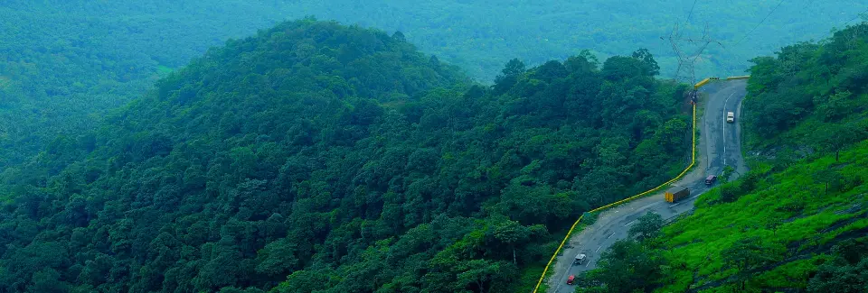 Wayanad Tour